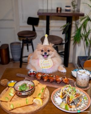 毛孩街慶典後，食墨西哥菜慶生🇲🇽🌮🐾