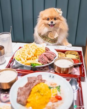 行街攰？🐕💨 D2寵物友善餐廳醫肚！🥢