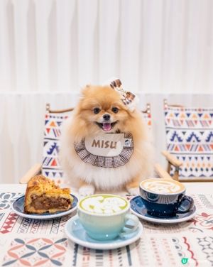 🐶☕️🐶 寵物咖啡拉花💯🎨 | 啟德親子避世🏠🌳