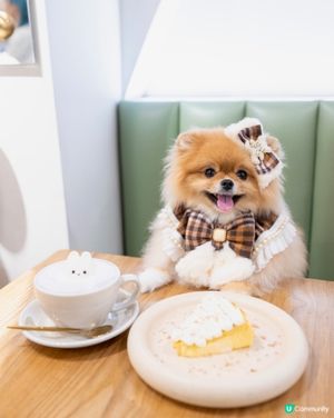 母親節同媽媽去超靚cafe打卡