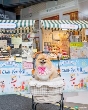 週末好去處！浪浪領養+市集！🐶🥳