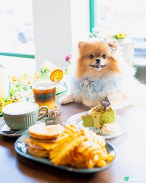 又係每日日常嘅coffee time 啦,今次我米蘇蘇去左屯