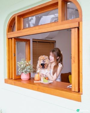 🌿 林村除咗許願樹 仲有綠色小木屋 📸