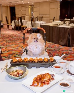 酒店食飯！米蘇蘇推介新地方 🐶✨