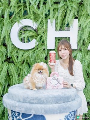 🐶💖 1881浪漫約會！米蘇蘇玩轉萌寵嘉年華！