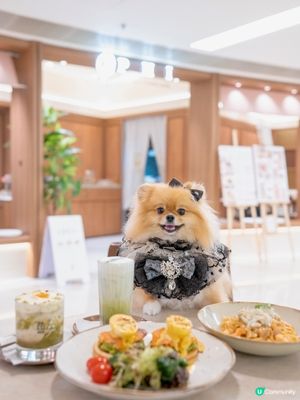 人氣高質梳乎厘 終於喺元朗開分店啦😍