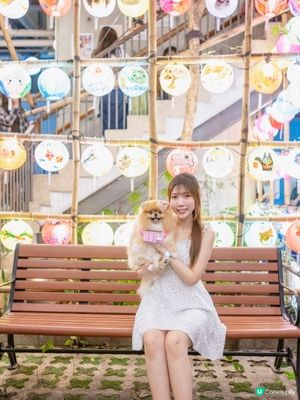 中秋節藍屋打卡💙✨📸！