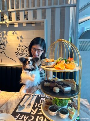 
又去左食港女afternoon tea🫖🐶