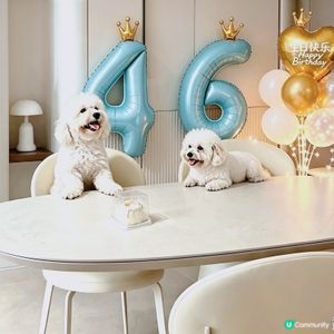 兩隻傻犬 寵物友善餐廳慶生🎉