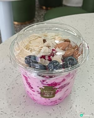 茉More Yogurt茉酸奶