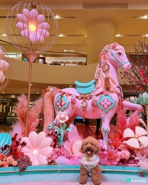 駿馬現太古 💖🐴