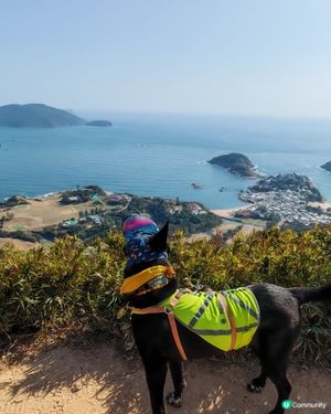⛰️靚景歎足3小時！