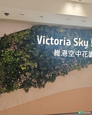 銅鑼灣新寵點！🐶☕️