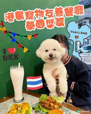 🐕帶毛孩食泰菜🇹🇭 港島區泰國菜人均$150食到飽