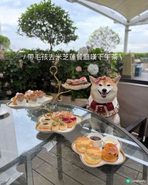 今次約埋朋友仔去嘆米芝蓮一星餐廳既下午茶☕️
好難得有高級餐