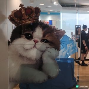 今日主角「托腮貓」🐈‍⬛