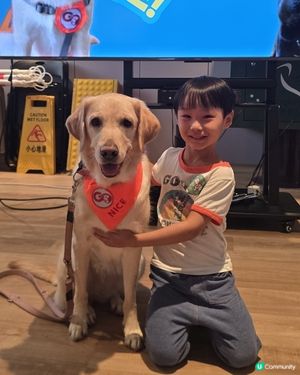 親子參加導盲犬導賞團！🐶👨‍👦 真溫馨又有意義 📸