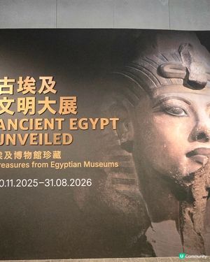 埃及展覽！黃金面具震撼登場！🤩✨