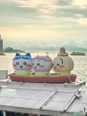 香港遊｜搭天星小輪出發去人魚島⛴️