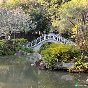 沙田公園及周邊