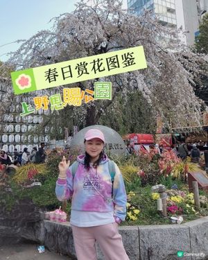🌸我愛花花之上野櫻花隧道！賞櫻🌸必去🇯🇵