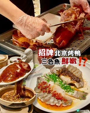 ✨深圳🇨🇳-⚠️💬招牌北京烤鴨竟還未試️⁉️💢竟三色魚都…⁉️📍金鴨季