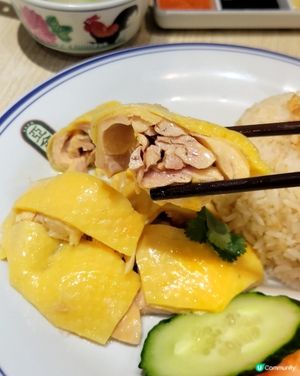 亞金南洋茶室🐥海南油雞飯