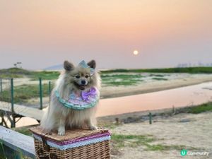 下白泥看日落🌄