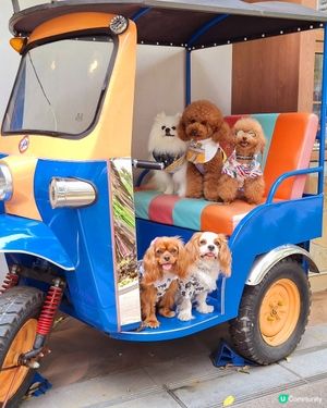 北角匯泰式非常好食😋