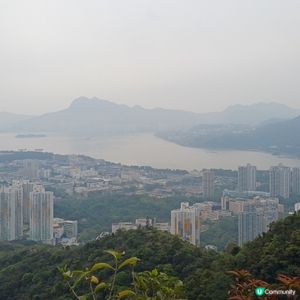 衛徑大埔頭-九龍坑山-八仙嶺-大美督