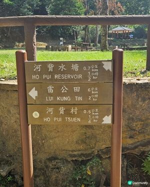 河背
