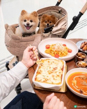 寵物友善餐廳🍽️ 親民價$289食手工意粉！🤩