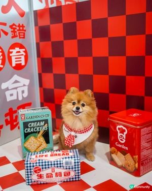嘉頓 × 朗豪坊！回憶爆發！🤩🍞