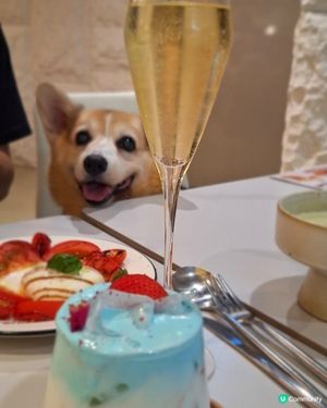 夢幻極致生日饗宴