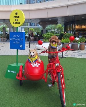 萌寵夏運會！🐶💦 放電打卡必去！