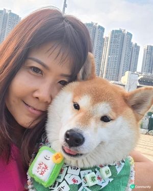 藍天白雲空氣好, 
外出散步心情好, 
彭福公園地方好, 
