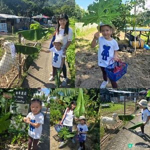  小農夫體驗 👩🏻‍🌾