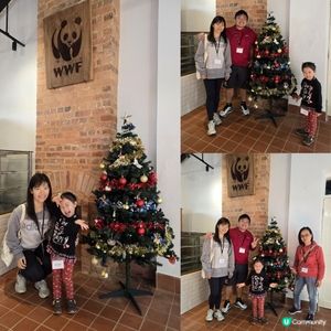 元州仔冬日嘉年華 🎄🐼