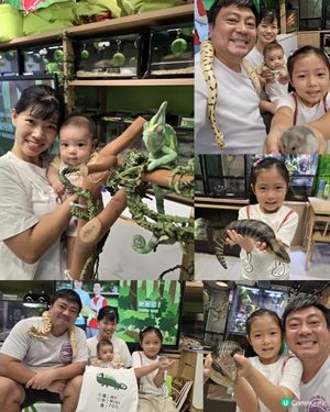 動物奇遇記 🦎🐊🐇🐹🐚