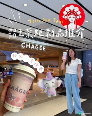 霸王茶姬晚系列登場！☕️🌙