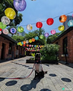 🐶📸燈籠節