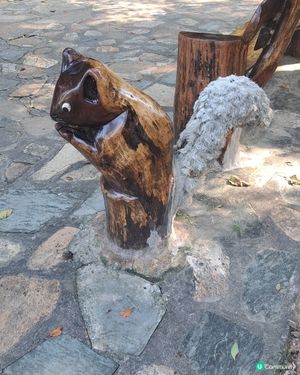 一次舒服之導賞