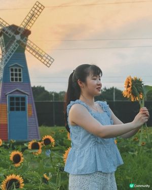 🇭🇰90後｜信芯園｜🌻🌻🌻