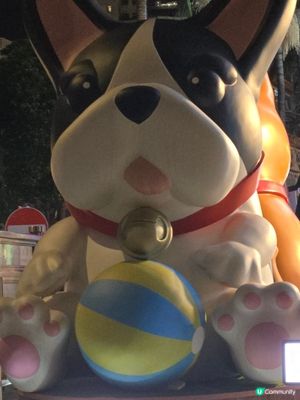 狗狗