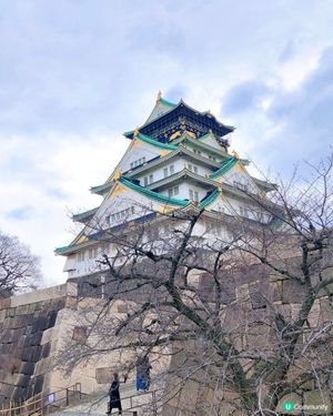 大阪城🏯親子輕鬆遊！🚶‍♀️🌳