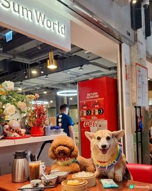 點心控🐶🐱必去！荃灣點天下😋！