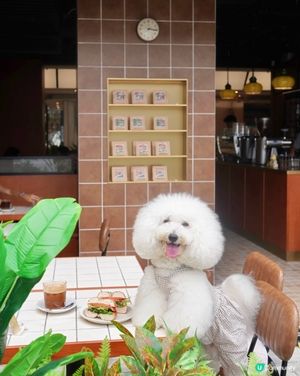 貫通東岸板道同商場嘅cafe 咖啡bagel 皆出色