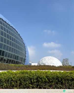 FutureScope 沉浸式藝術