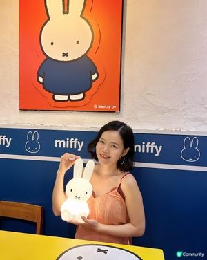 ｢富山麵家｣今期有新聯乘卡通限定主題食品,來自荷蘭🇳🇱著