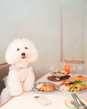 恭喜十常八九旺角新店開張🎉！